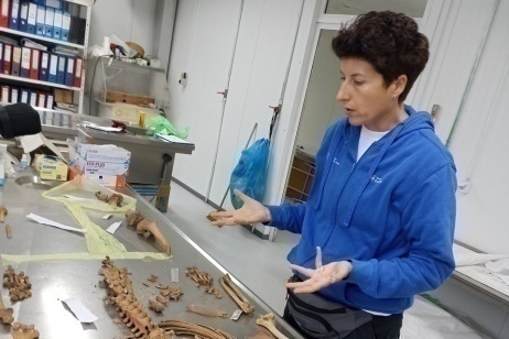 Srebrenica, thirty years after the genocide the identification of victims continues