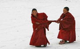 Youth monks in Tibet 