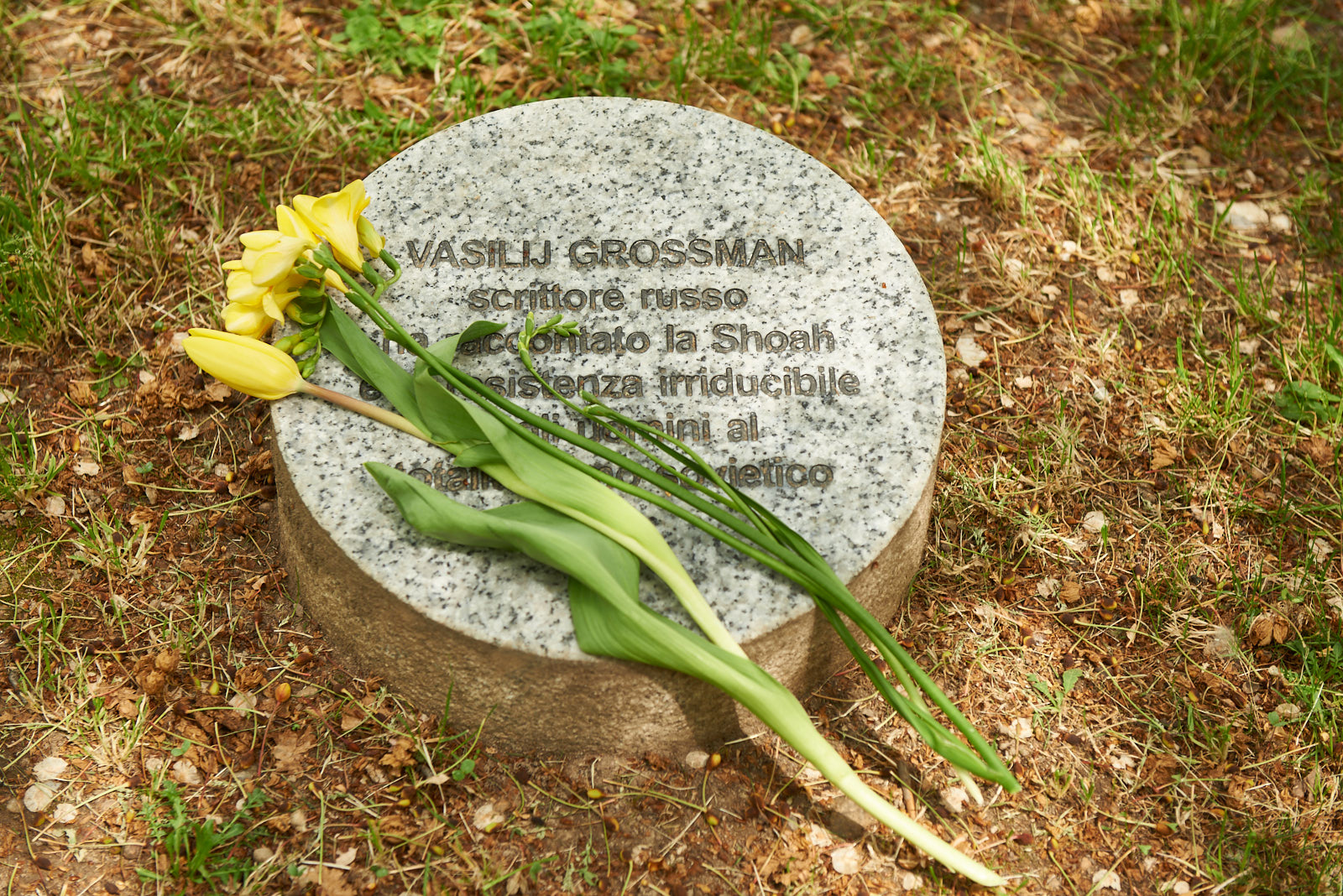 The yellow flower placed near the memorial stone dedicated to Vasilij Grossman