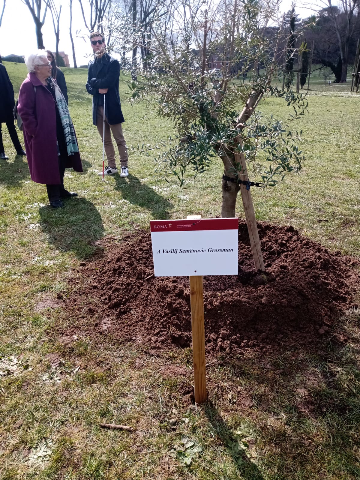 tree honoring Vasilij Grossman