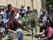 Moments of the planting of the tree