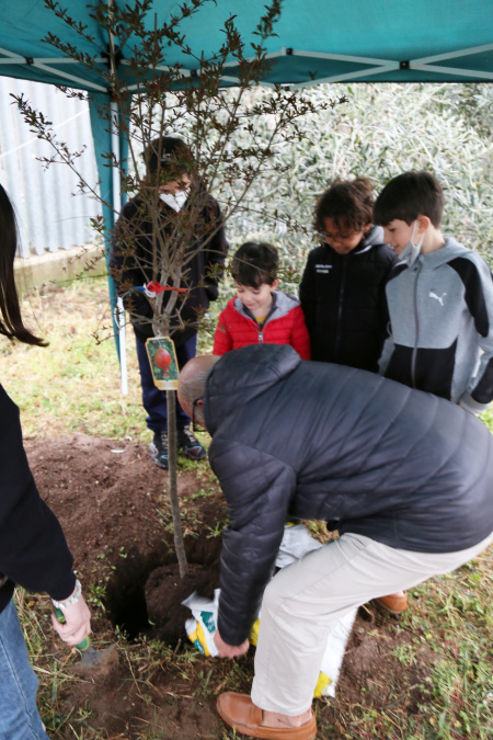 Vito Fiorino helps planting the tree in his honor